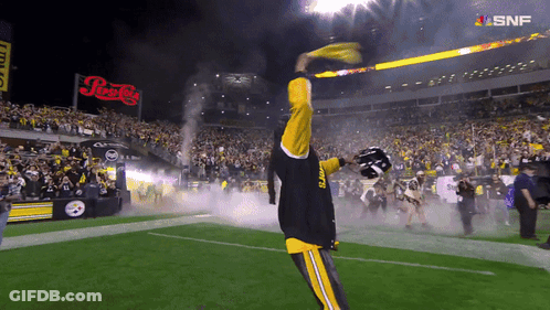 Man In Steelers Jersey Holding Yellow Flag GIF