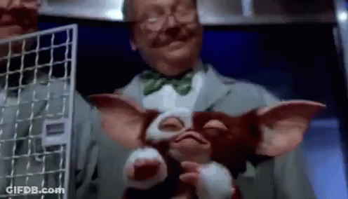 Man In Suit And Bow Tie Holding Stuffed Animal GIF