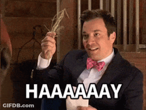 Man In Suit And Bow Tie Saying Haaay With Hay GIF