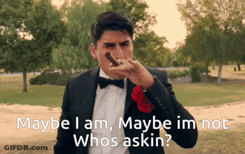 Man In Suit And Bow Tie Smoking Cigar GIF