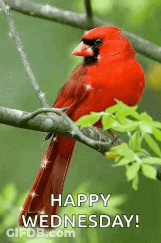Man In Suit And Red Tie Smiling GIF
