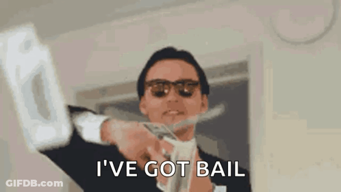 Man In Suit And Sunglasses Holding Money Saying I Have Got Bail GIF