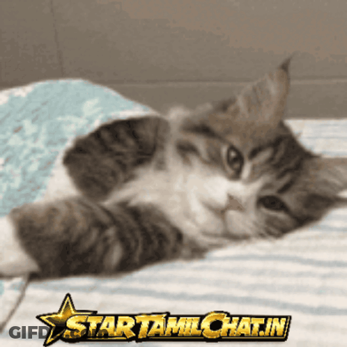 Man In Suit And Tie Arms Outstretched Coffee GIF