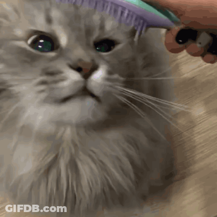 Man In Suit And Tie At Closet Door GIF