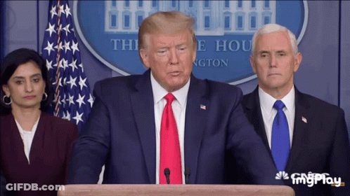Man In Suit And Tie At White House GIF