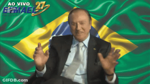 Man In Suit And Tie By Waving Brazilian Flag GIF