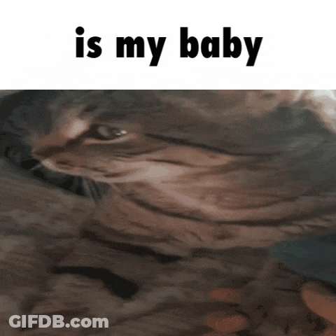 Man In Suit And Tie God Owns Sky GIF