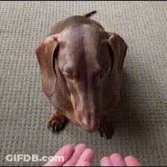Man In Suit And Tie Hands Folded On Couch GIF