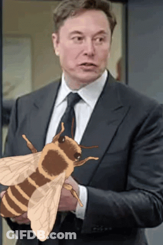 Man In Suit And Tie Holding Bee GIF
