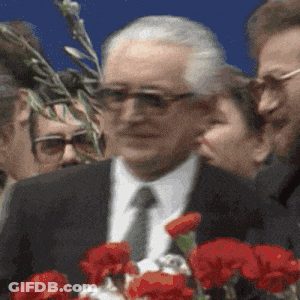 Man In Suit And Tie In Front Of Red Flowers GIF