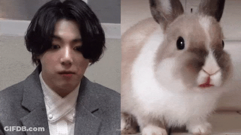 Man In Suit And Tie Next To Rabbit With Red Nose GIF