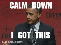 Man In Suit And Tie Saying Calm Down I Got This GIF