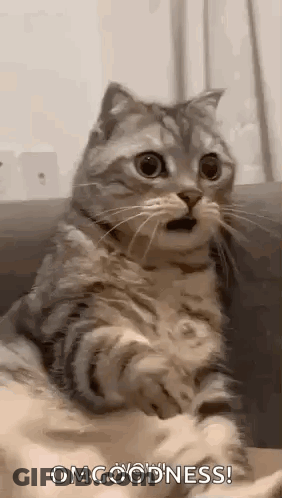 Man In Suit And Tie Saying Listen !! GIF