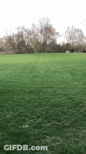 Man In Suit And Tie Says I Don't Think GIF