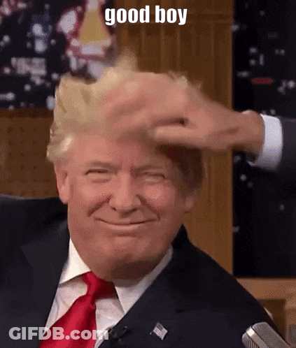 Man In Suit And Tie Smiling Hair Brushed GIF