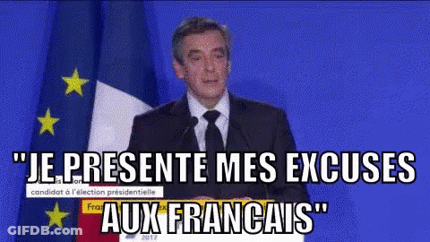 Man In Suit And Tie Speaking By French Flag GIF