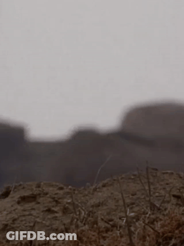 Man In Suit And Tie Standing In Dirt GIF