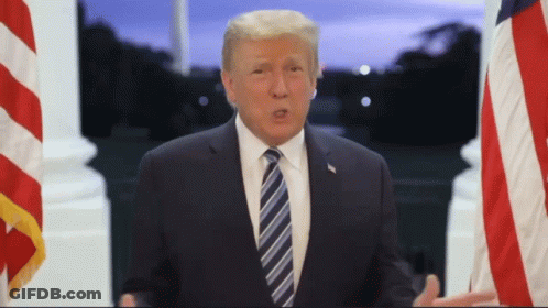 Man In Suit And Tie Standing In Front Of Flag GIF