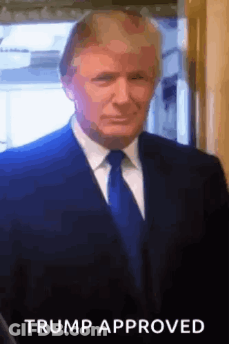 Man In Suit And Tie Trump Approved GIF