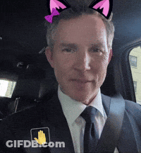 Man In Suit And Tie Wearing Cat Ear Sticker GIF