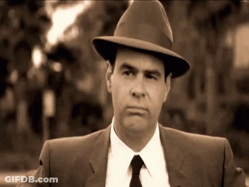 Man In Suit And Tie Wearing Fedora Hat GIF