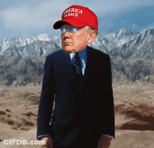 Man In Suit And Tie With America Is Back Hat GIF