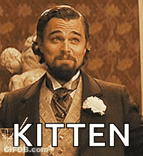 Man In Suit And Tie With Kitten GIF