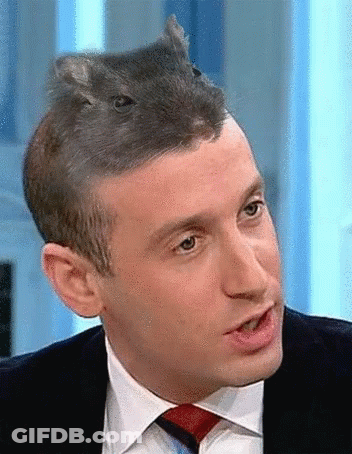 Man In Suit And Tie With Small Animal On Head GIF