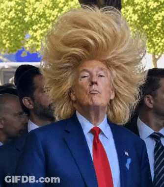 Man In Suit And Tie With Wig GIF
