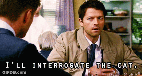 Man In Suit At Chess Board Says I'll Interrogate The Cat GIF