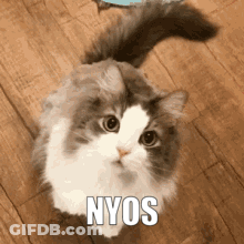 Man In Suit At Willy's VIP Lounge GIF