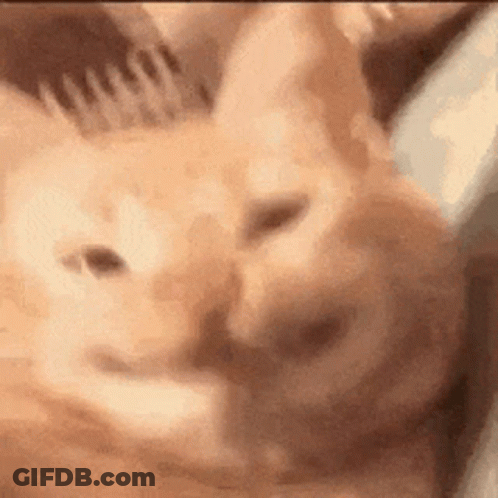Man In Suit Before Crowd With Man In Polo Shirt GIF