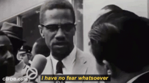 Man In Suit Carrying Coffin In Cemetery GIF