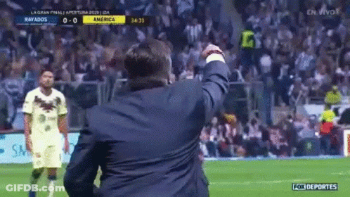 Man In Suit Celebrating On Soccer Field GIF