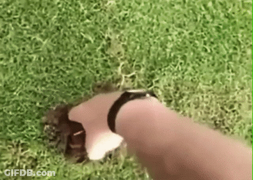 Man In Suit Clapping GIF