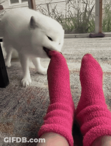 Man In Suit Drinking, Woman On Phone GIF