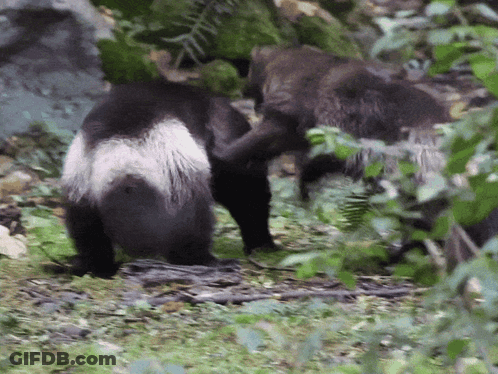 Man In Suit Giving Thumbs Up Says Southern Men Stay Sexy GIF