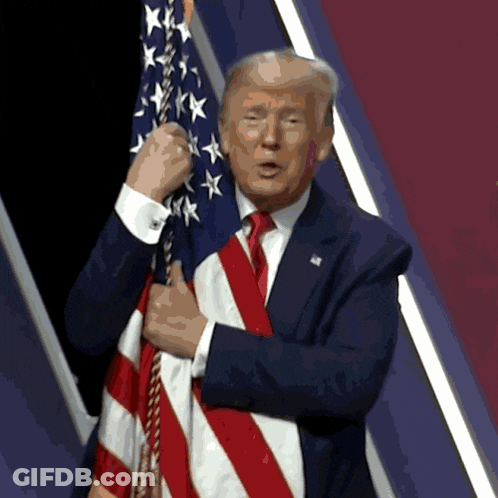 Man In Suit Holding American Flag GIF