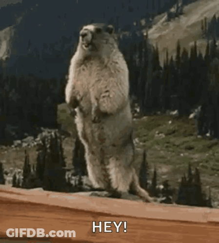 Man In Suit Holding Cartoon Character GIF