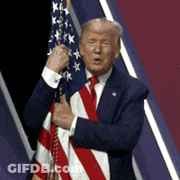 Man In Suit Holding Flag GIF