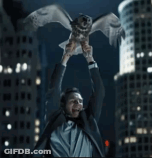 Man In Suit Holding Owl GIF