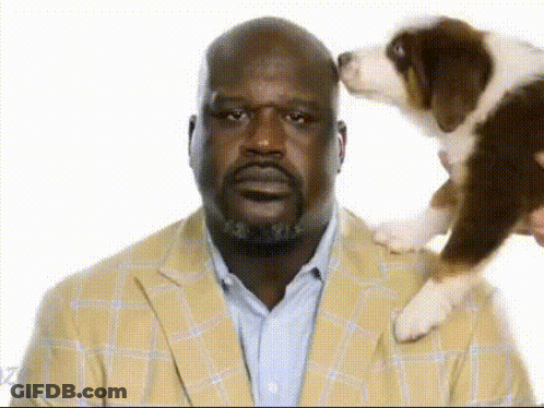 Man In Suit Holding Puppy On Shoulder GIF
