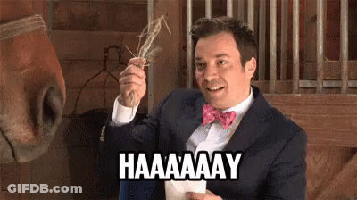 Man In Suit Holding Stick Says Haaaay Horse GIF
