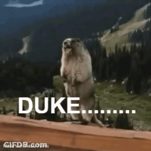 Man In Suit Holding Sword In Forest GIF