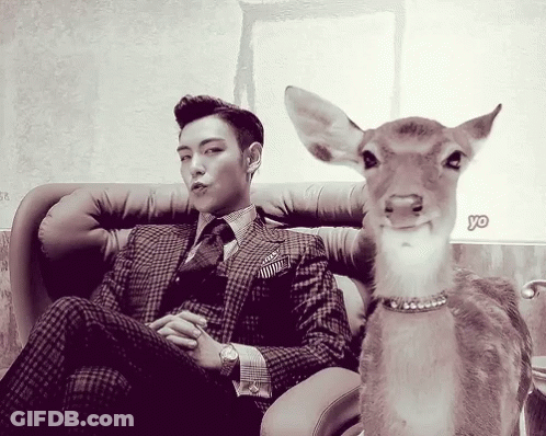 Man In Suit Next To Stuffed Deer Saying Yo GIF