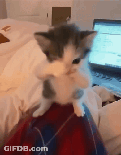 Man In Suit Saying Anyway GIF