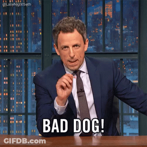 Man In Suit Saying Bad Dog GIF