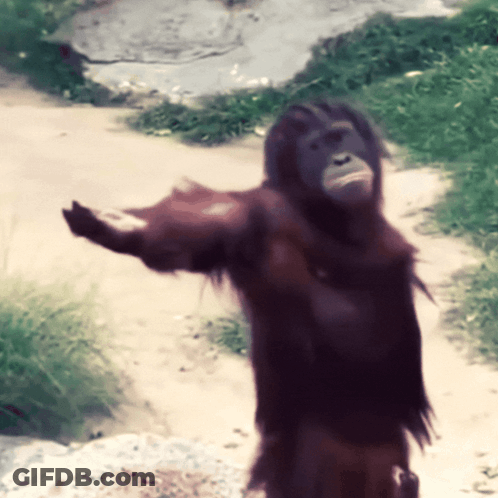 Man In Suit Saying Give Me The Precise Time GIF