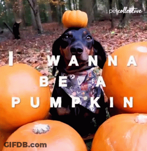 Man In Suit Saying Happy Birthday You Shining Star GIF