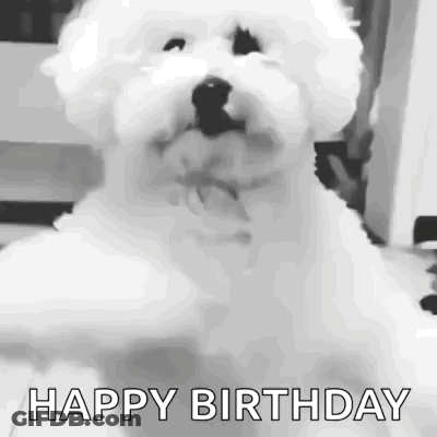 Man In Suit Saying Happy Birthday You Shinning Star GIF